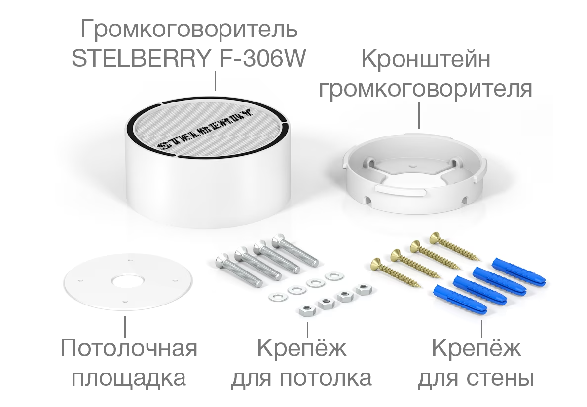 Stelberry F-306W Потолочно-настенный громкоговоритель