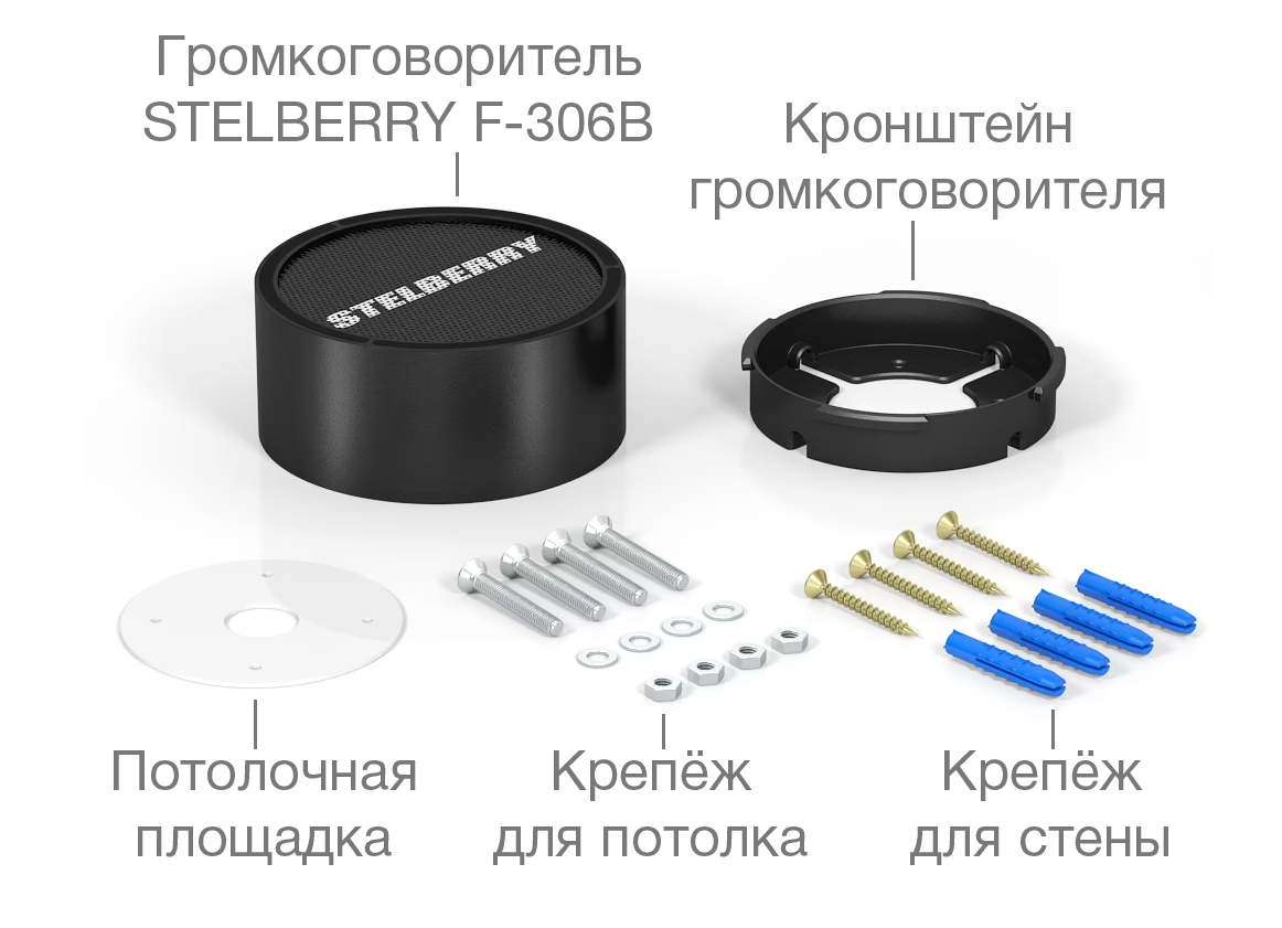 Stelberry F-306B Потолочно-настенный громкоговоритель