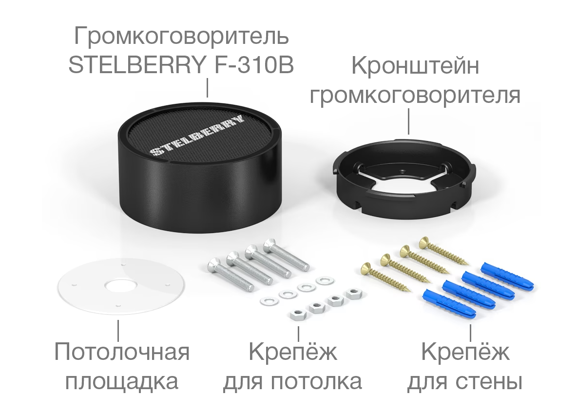 Stelberry F-310B Потолочно-настенный громкоговоритель