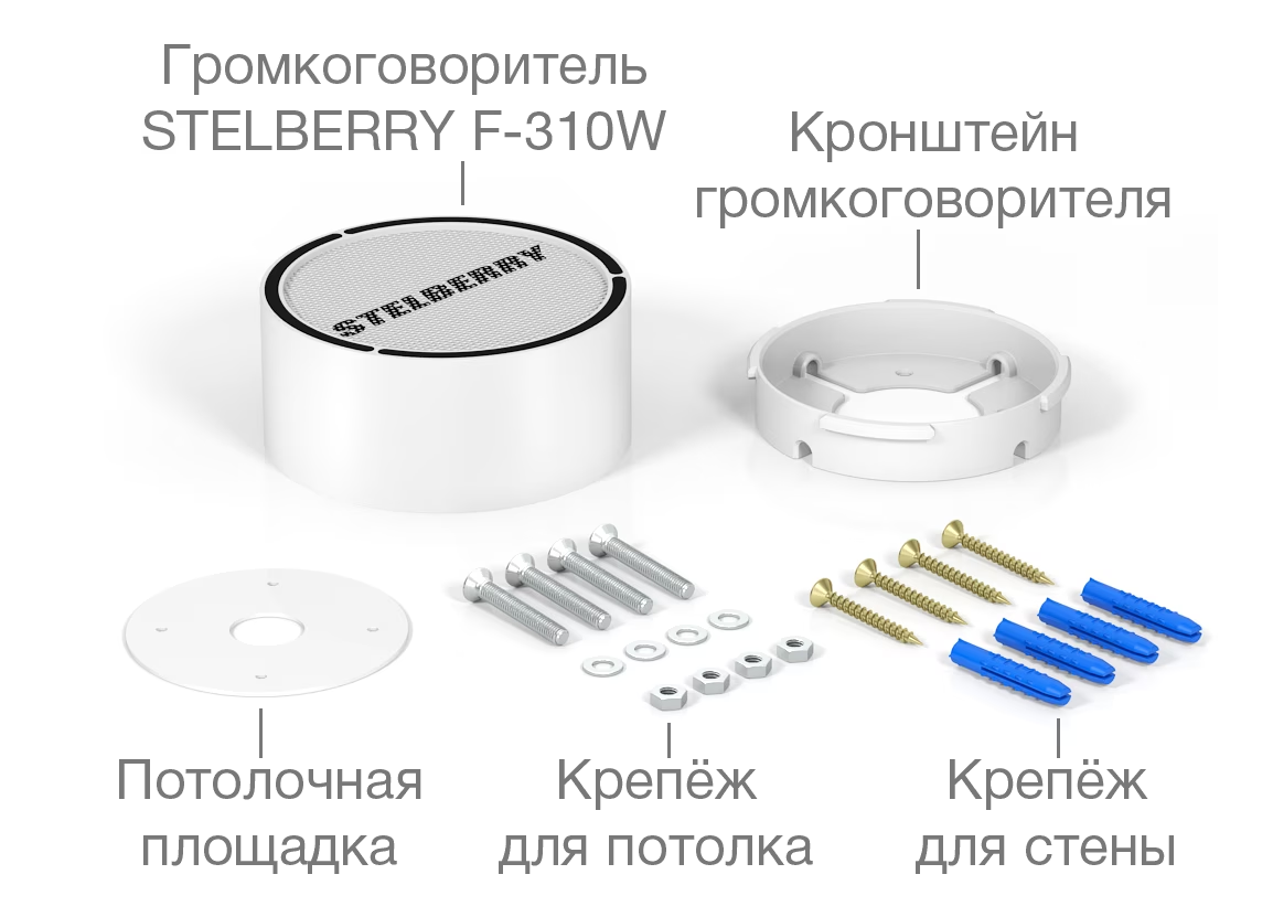 Stelberry F-310W Потолочно-настенный громкоговоритель