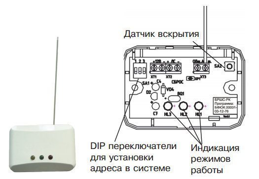 габр1.jpg